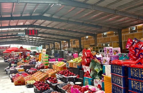 元旦市場供應充足，新鮮水果喜迎佳節