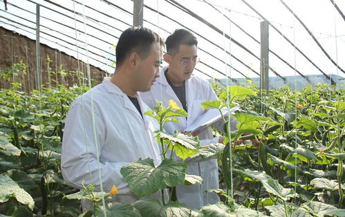 安丘百名檢測員一線把關，筑牢“舌尖安全”防護網(wǎng)